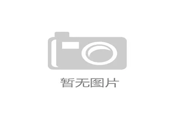 迪尼：曼联的问题不在B费而在于队友过于自我中心